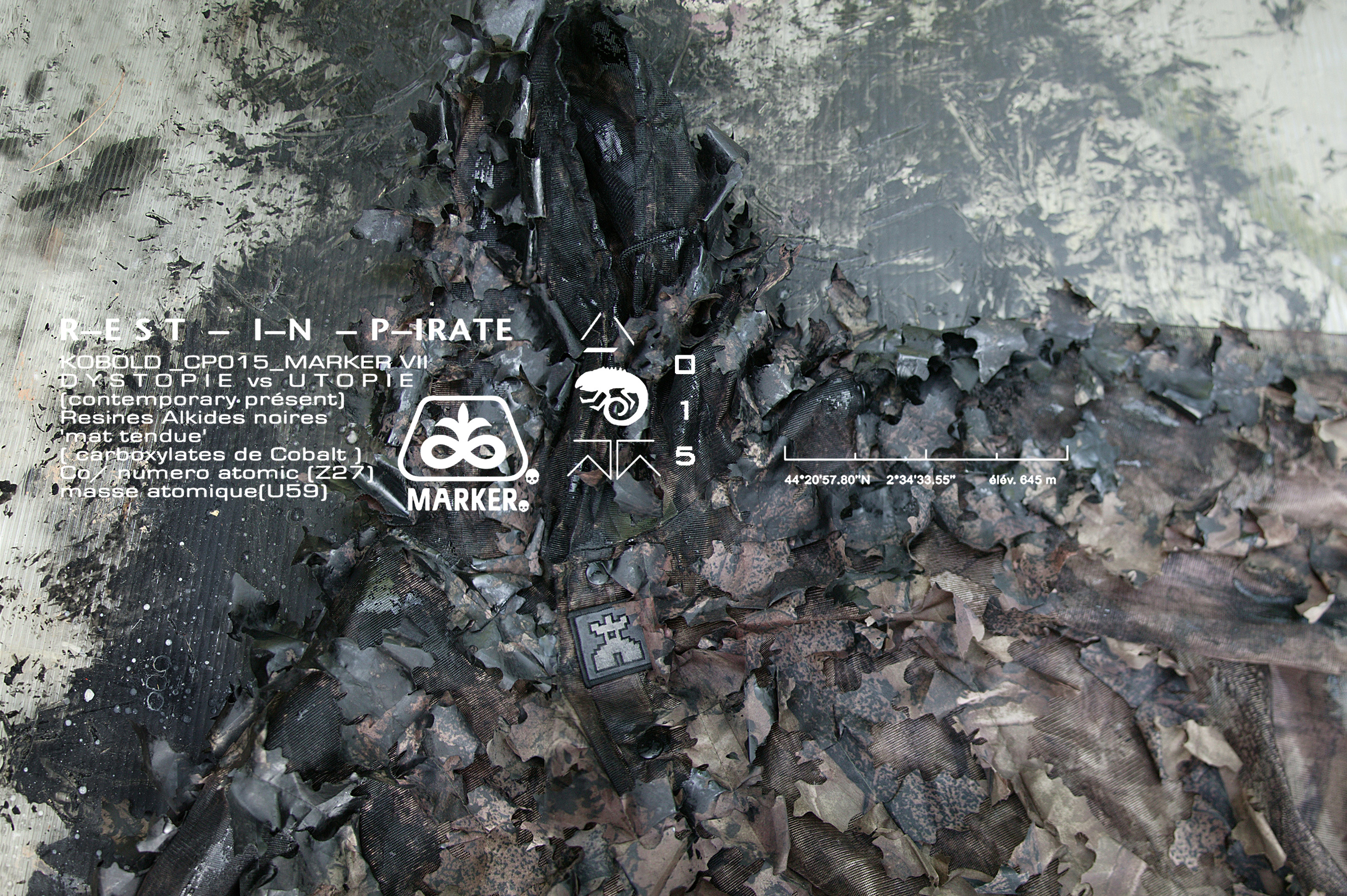 Grande image du caméléon_2 camouflé 1