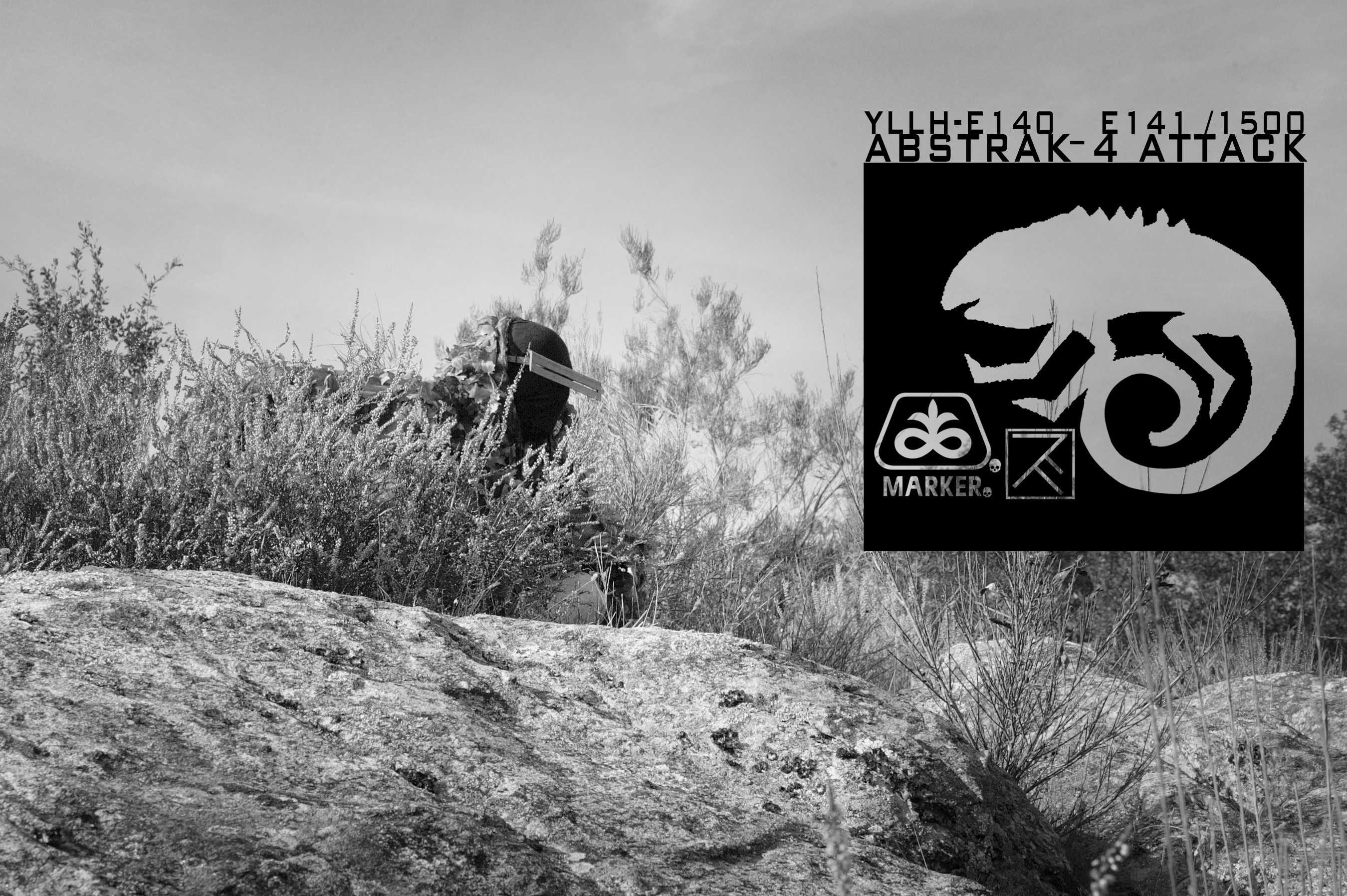 Grande image du caméléon_2 camouflé 5