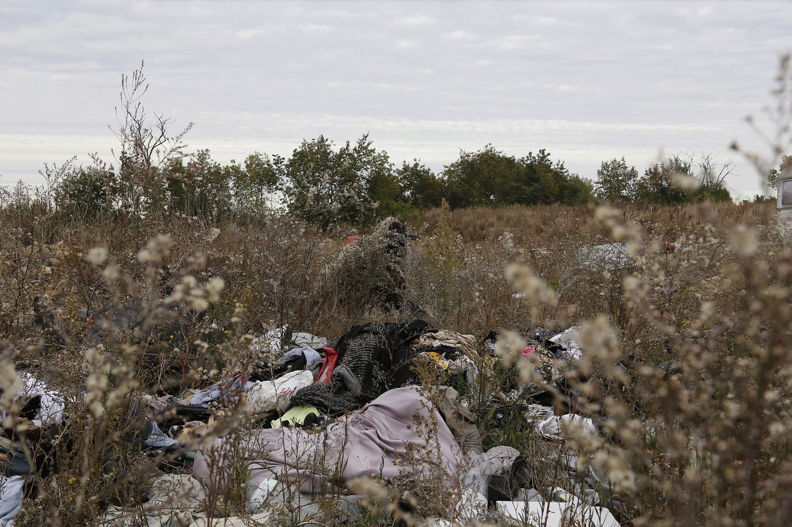 Grande image du caméléon_2 camouflé 7
