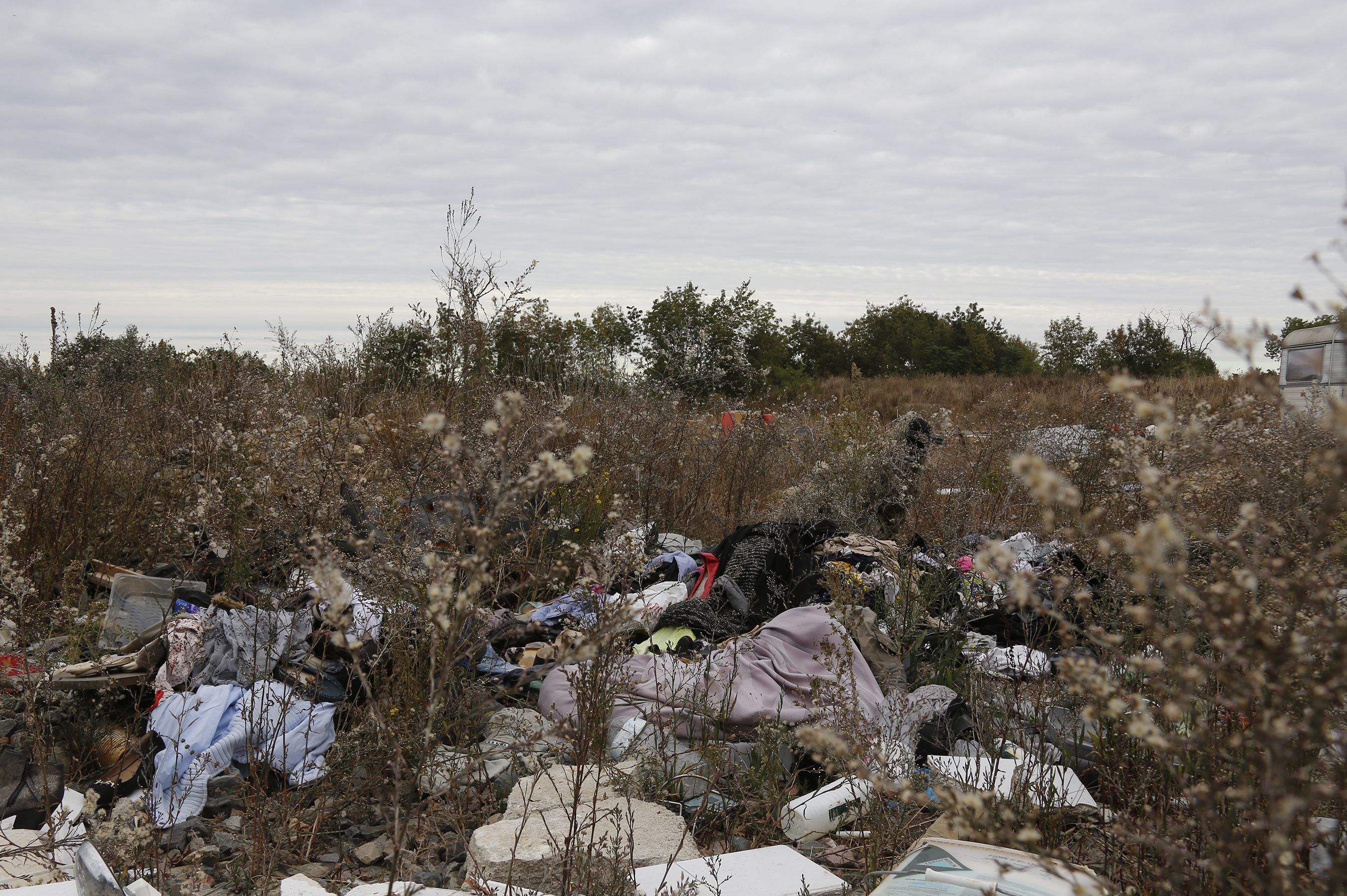 Grande image du caméléon_2 camouflé 8