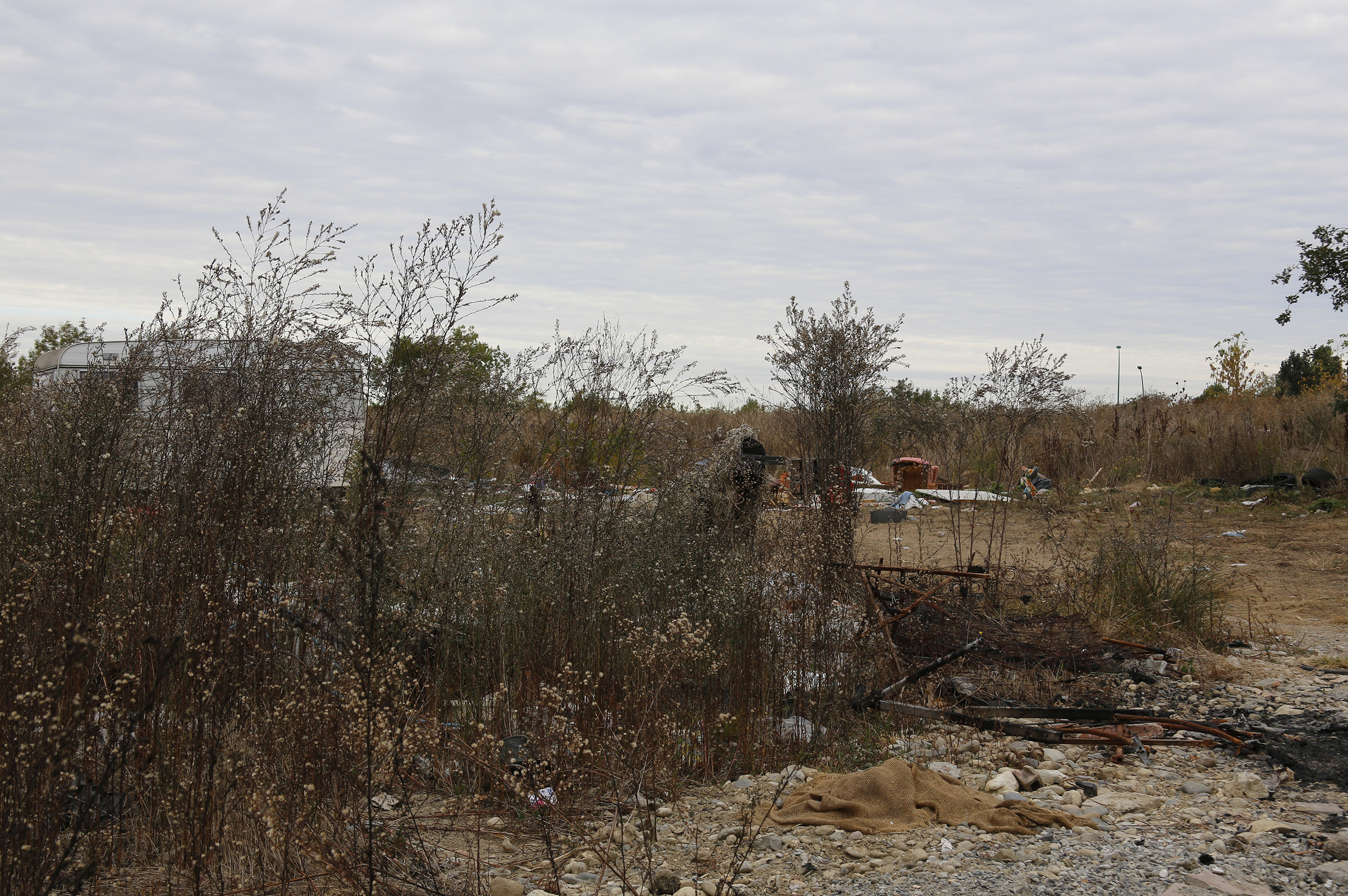 Grande image du caméléon_2 camouflé 9