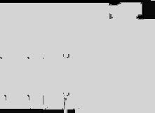 glitch caméléon_2 4