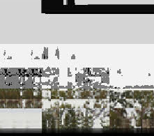 glitch caméléon_2 5