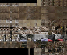 glitch caméléon_2 8