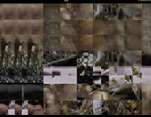 glitch caméléon_2 9