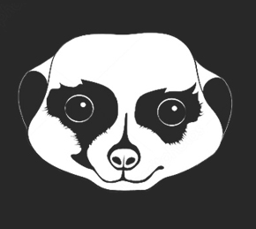 Image de la tête d'un suricate