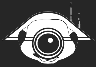 Image d'un casque de droïd sur une tête suricate