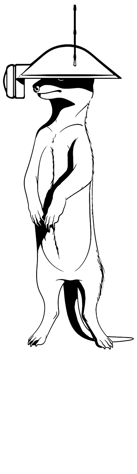 Suricate avec casque droid